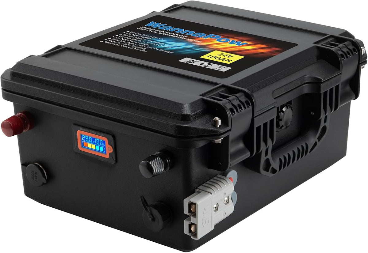 batterie a ciclo profondo WannaPow Bluetooth, LifePO4 24V 100Ah Bluetooth Batteria al Litio, Con 100A BMS